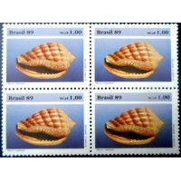 1989 BR C 1646 Morum Matthewsi M QD