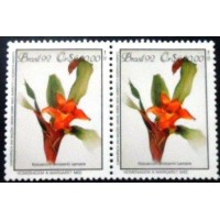 1992 c 1805 Nidularium Innocenti M PR