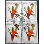 1992 BR C 1805 Nidularium Innocenti MCC QD