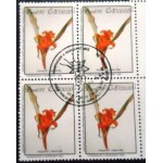 1992 C 1807 8Nidularium Inoccentii MCC QD