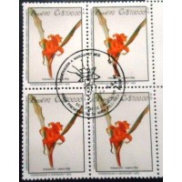 1992 C 1807 8Nidularium Inoccentii MCC QD