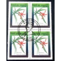 1994 BR C 1892 Barbacenia tomentosa MCC QD