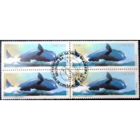 1987 BR C 1550 Baleia Franca MCC QD