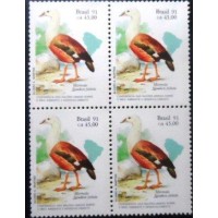 1991 BR C 1736  Marrecão M QD