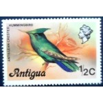 1976 AG 0399 Antillean Crested Hummingbird M