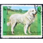 1972 AE SH 1294 Dog 1 A MCC 1972 AE SH 1294 Dog 1 A MCC