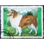1972 AE SH 1293 Rough Collie A MCC 1972 AE SH 1293 Rough Collie A MCC