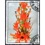 1972 AE SH 1212 Fire lilies A NCC