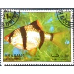 1972 AE SH 1198 Tropical Fish A NCC