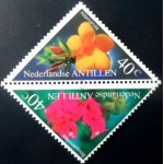 1999 AN 1036 Bougainvillea & Allamanda M SET