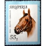 1966 AL 1034 Horse NCC 1966 AL 1034 Horse NCC
