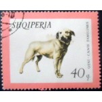 1966 AL 1032 Istrian Shorthaired Hound NCC 1966 AL 1032 Istrian Shorthaired Hound NCC