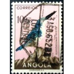 1951 AO 0355 Halfcollared Kingfisher U