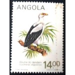 1984 AO 0702 Palmnut Vulture M