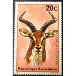 1975 Ugandan Kob 1975 Ugandan Kob