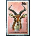 1975 Ugandan Kob