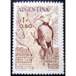 1960 AR 0717 Magellanic Woodpecker M 1960 AR 0717 Magellanic Woodpecker M