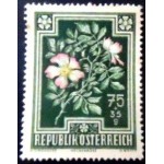 1948 AT 0874 Dog Rose M 1948 AT 0874 Dog Rose M