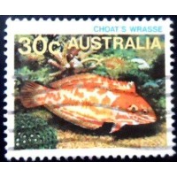 1984 Choats Red Leopard Wrasse
