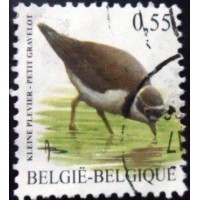 2004 Little Ringed Plover