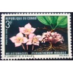 1970 Myrianthemum mirabile