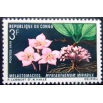 1970 Myrianthemum mirabile