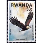 1977 African FishEagle