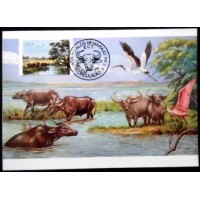 1984 MAX 103 A Búfalo Carabao PA 5972