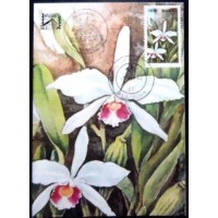 1982 MAX 68 Laelia purpurata 15064
