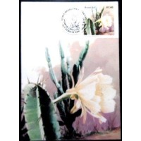 1983 MAX 84 Mandacaru 22139