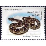 2001 C 2371 Bothrops jararaca N