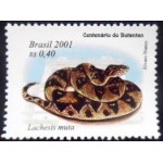 2001 C 2370 Lachesis muta N