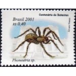 2001 C 2366 Phoneutria sp. N