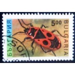 1993 Firebug