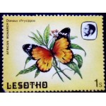 1984 African Monarch 1984 African Monarch