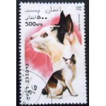 1996 AF 1702 Japanese Bobtail NCC 1996 AF 1702 Japanese Bobtail NCC