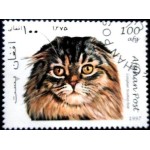 1997 AF 1728 Scottish Fold NCC