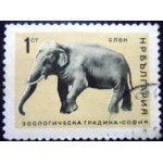 1966 Asian Elephant