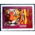 1998 Tiger