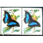 1986 C 1514 Prepona eugenes diluta NCC PR