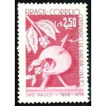 1957 C 0400 Ribeirão Preto N