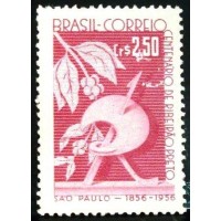 1957 C 0400 Ribeirão Preto N