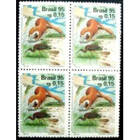 1995 BR C 1963 Rio Tietê M QD