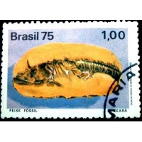 1975 C 0897 Peixe Fóssil U
