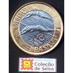 2014 Natação Rio 2016 2014 Natação Rio 2016