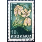 1974 Fritillary 1974 Fritillary