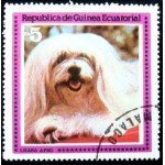 1978 Lhasa Apso