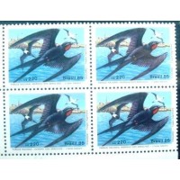 1985 BR C 1461 Tesourão M QD