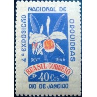 1946 C 0224 Orquídeas M
