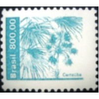 1984 Carnaúba